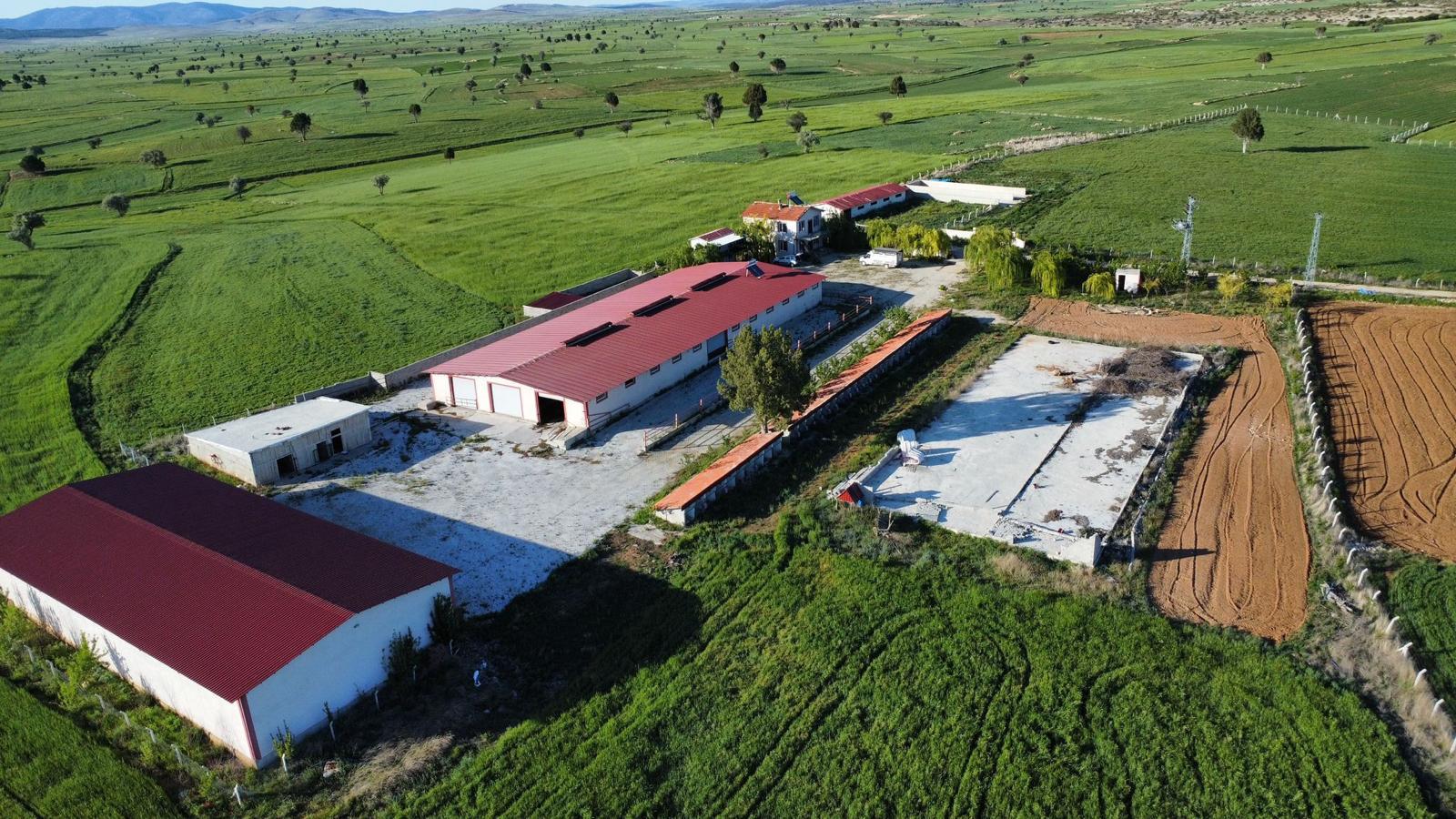 İNŞAAT, PROJE - ANAHTAR TESLİM